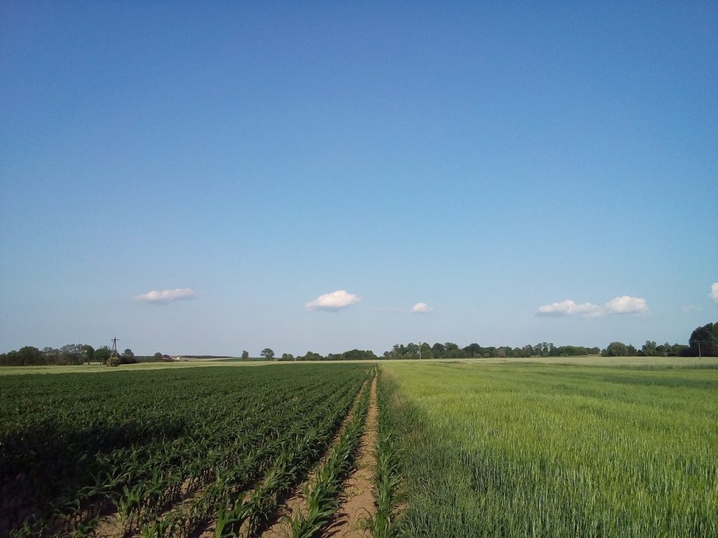 investir dans les terres agricoles