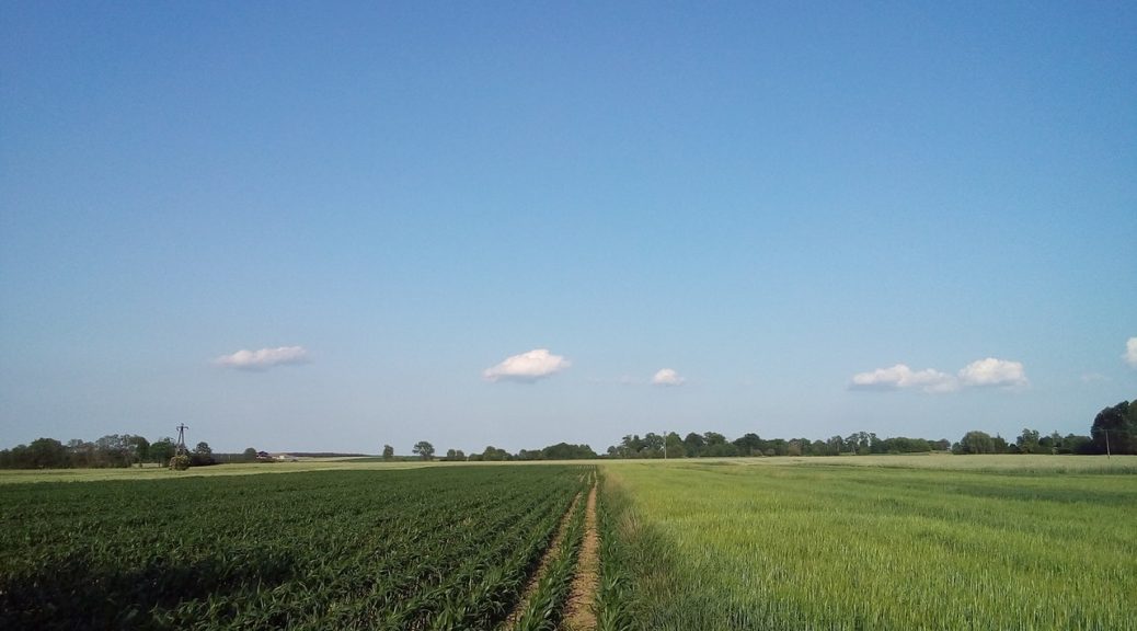 investir dans les terres agricoles